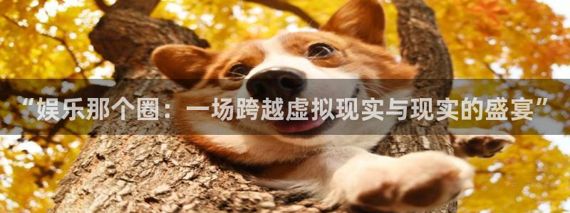 新宝gg一键登录：“娱乐那个圈：一场跨越虚拟现实与现实的盛宴”