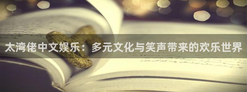 新宝5登录手机版：太湾佬中文娱乐：多元文化与笑声带来的欢乐世界