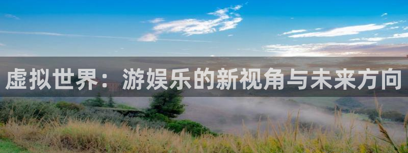 新宝5登录手机版：虚拟世界：游娱乐的新视角与未来方向