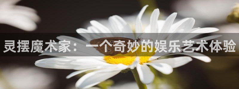 新宝gg官网登录：灵摆魔术家：一个奇妙的娱乐艺术体验