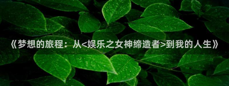 新宝gg一键登录：《梦想的旅程：从<娱乐之女神缔造者>到我的人生》