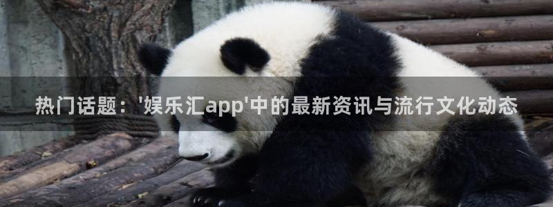 新宝5登录：热门话题：\'娱乐汇app\'中的最新资讯与流行文化动态