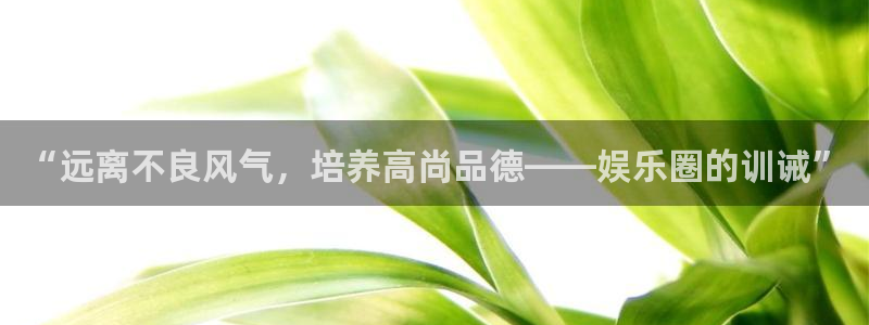 新宝gg注册：“远离不良风气，培养高尚品德——娱乐圈的训诫”