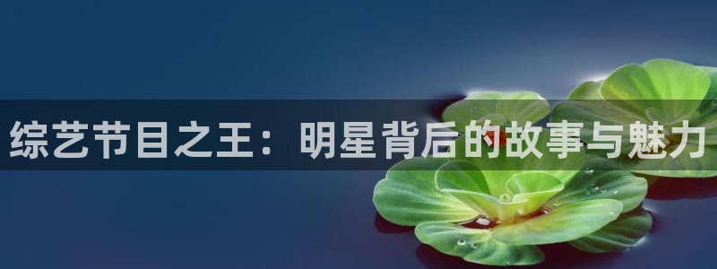 新宝gg：综艺节目之王：明星背后的故事与魅力