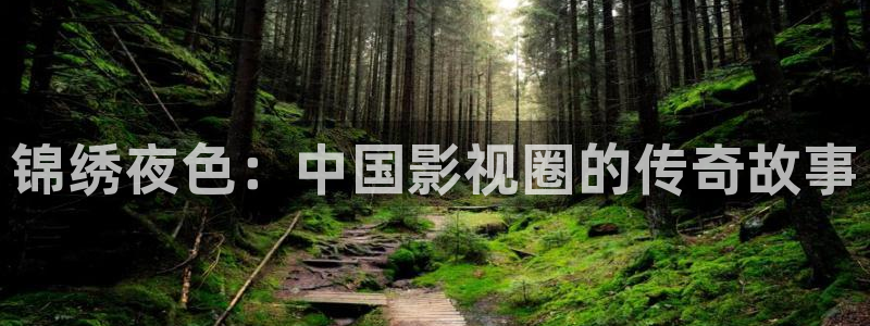 新宝gg在线注册：锦绣夜色：中国影视圈的传奇故事