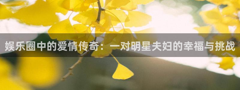 新宝gg官网：娱乐圈中的爱情传奇：一对明星夫妇的幸福与挑战