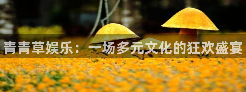 新宝gg官网登录：青青草娱乐：一场多元文化的狂欢盛宴